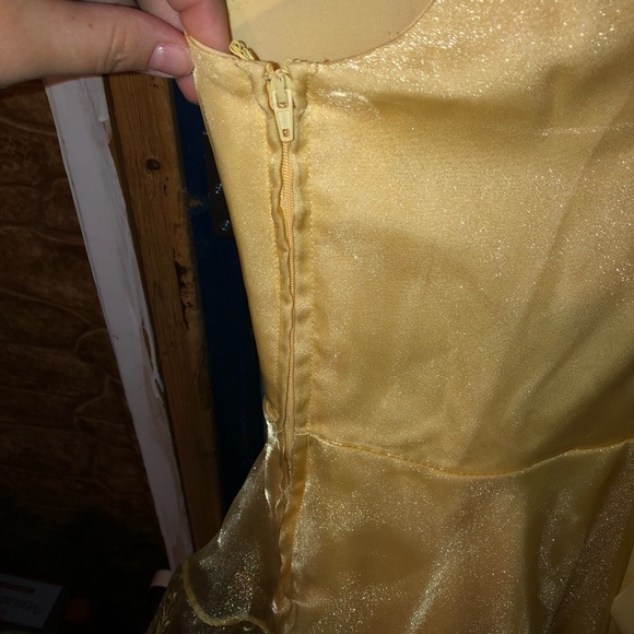 (SOLD) Torrid beauty and the beast dress size 18 - Picture 5 of 6